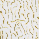 Sticker Unghii Gold